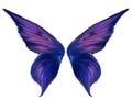 Purple Feathered Fairy Wings