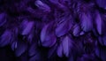 Purple feather texture background with intricate digital art and detailed bird feathers