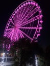 Purple Ferris wheel