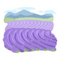 purple fields, green meadows and mountains
