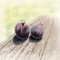 Purple figs illustration