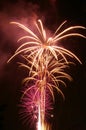 Purple fireworks Royalty Free Stock Photo