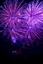 Purple fireworks Royalty Free Stock Photo