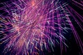 Purple fireworks in a dark sky. Purple festive firecracker. Bright purple, pink and orange firework display in the night sky. Royalty Free Stock Photo