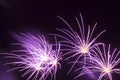 Purple fireworks