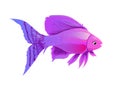 Purple fish cartoon