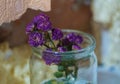 Purple flaccid flower in a glass jar