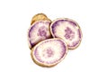 Purple Fleshed Sweet Potato