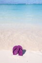 Purple flip flops on a tropical beach Royalty Free Stock Photo