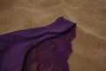 Purple floral lace panty