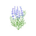 purple floral lavender bouquet