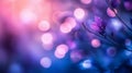 Purple Flower Blooms Softly Lit With Bokeh Background Royalty Free Stock Photo