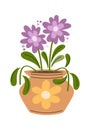 Purple flower blossoms ceramic vase Royalty Free Stock Photo
