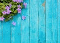 Purple flower on blue wooden background from top view Royalty Free Stock Photo