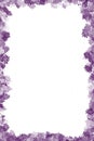 Purple Flower Border Royalty Free Stock Photo