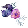 Purple flower bouquet with green leaves. Isolated bouquet illustration element. Watercolor background illustration set. Royalty Free Stock Photo