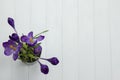 Purple flower Crocus in the pot leaves are green leaves pistil stamen white wooden background