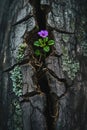 Purple Flower Emerging From Tree Crack