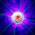 Purple Flower Explosion of Love and Light | Fractal Art Background Wallpaper