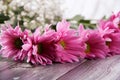 Purple flower focus white background valentine days Royalty Free Stock Photo