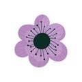 Purple flower nature decoration ornament icon Royalty Free Stock Photo