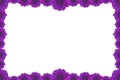 Purple Flower Picture Frame isolated on white background Royalty Free Stock Photo