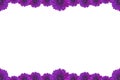 Purple Flower Picture Frame isolated on white background Royalty Free Stock Photo