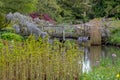 Purple flowered wisteria climbing over a bridge at RHS Wisley, flagship garden of the Royal Horticultural Society, Surrey, UK Royalty Free Stock Photo