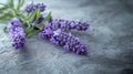 Purple Flowers Arranged on Table Royalty Free Stock Photo