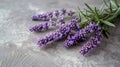 Purple Flowers Arranged on Table Royalty Free Stock Photo