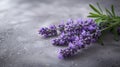 Purple Flowers Arranged on Table Royalty Free Stock Photo