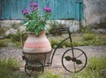 Purple flowers in a clay pot set on a bicycle, decoration for the garden Royalty Free Stock Photo