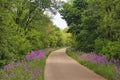 Purple flowers and dense green forestland surround the Great Sauk State Trail on a day in late Springtime. Royalty Free Stock Photo