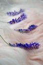 Purple flowers on dog's white fur