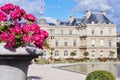 Purple flowers from garden of Luxembourg Palace