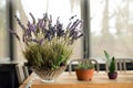 Purple flowers in glass vase on wooden table