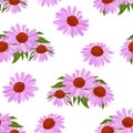 Purple flowers and green leaves seamless pattern. Blooming echinacea isolated on white background.