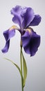 Hyper-realistic Iris Flower Sculpture Photography