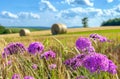 Purple flowers and hay bales in field Royalty Free Stock Photo