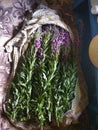 Purple flowers - ivan-chai. Royalty Free Stock Photo