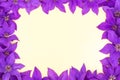 Purple flowers on light yellow background with copy space for messages.Flat lay frame with clematis.Top view.Concept of congratula Royalty Free Stock Photo