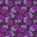 Purple flowers pattern Royalty Free Stock Photo