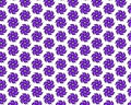 purple flowers pattern, violet flowers, drawing of purple flowers Royalty Free Stock Photo