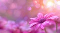 Purple flowers on pink background with bokeh lights Royalty Free Stock Photo