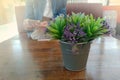 Purple flowers in a pot on the coffee table Royalty Free Stock Photo