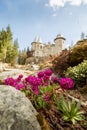 Purple flowers an Savoia Castle in Gressoney