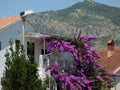 Purple flowers, small houses and mountains in Budva, Montenegro Royalty Free Stock Photo