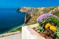 Purple flowers of Thymus vulgaris bushes known as Common Thyme, Garden thyme, . thyme in front of the turquoise sea on cape Royalty Free Stock Photo