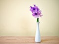 Purple flowers in vase on the table,Purple-pink flower still life on texture background or wallpaper Common water hyacinth Eichhor Royalty Free Stock Photo