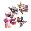 Watercolor flowers. Autumn florals. Floral background. Autumn flowers. Floral greeting card.